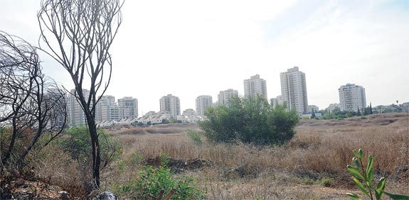 קרקע בגבעת שמואל / צלם: תמר מצפי